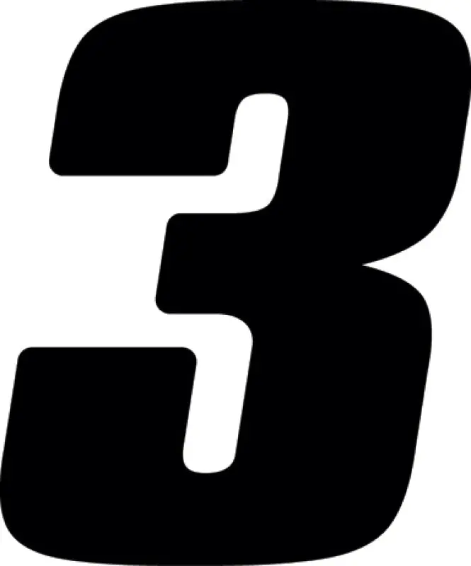 Hardline Dirt Digits 3Pk 4 In. - High Gloss Number 3 - Black 1