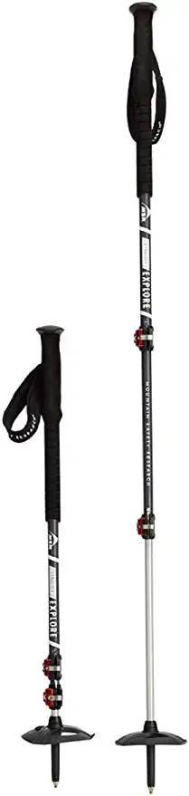 Dynalock Explore Backcountry Poles 1