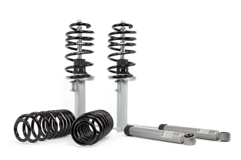 H&R 01-05 Volkswagen Jetta Wagon Vr6/Tdi/1.8T Mk4 Touring Cup Kit 1