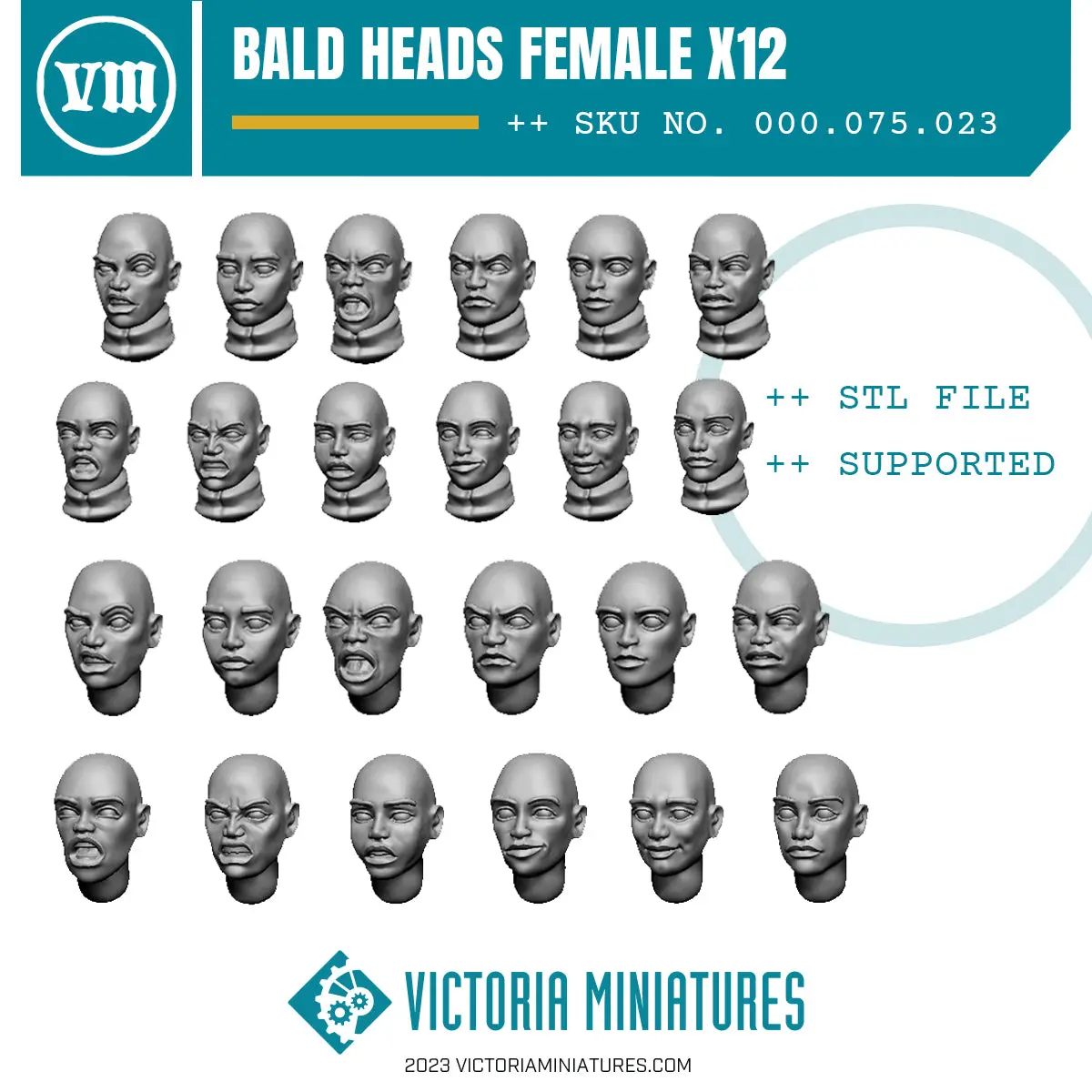 Bald Heads Female X12 .Stl Download 1