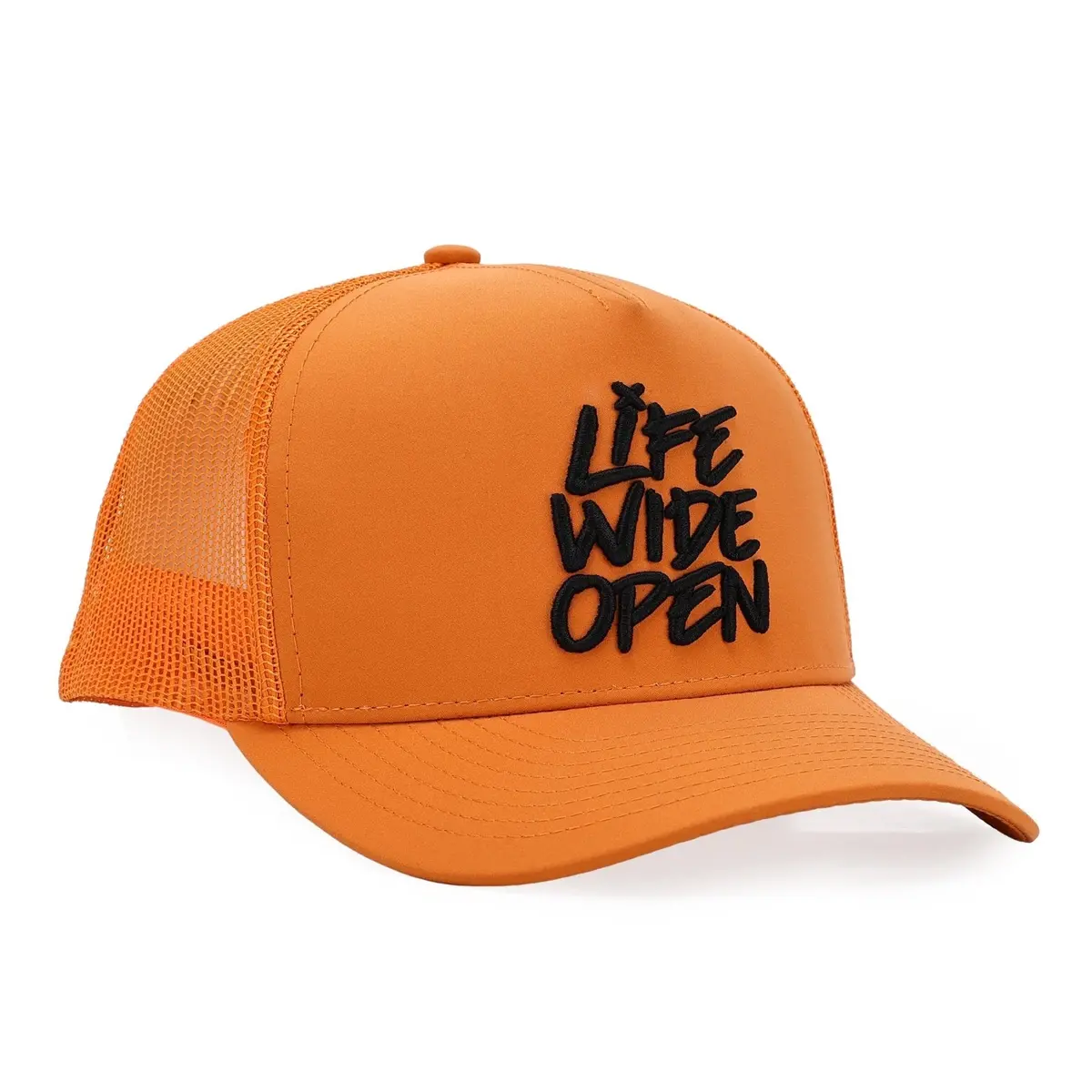 Lwo Blaze Curved Brim Hat 1