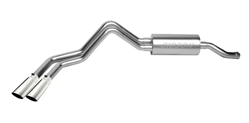 Gibson 98-00 Ford F-150 Base 4.2L 2.25In Cat-Back Dual Sport Exhaust - Stainless 1
