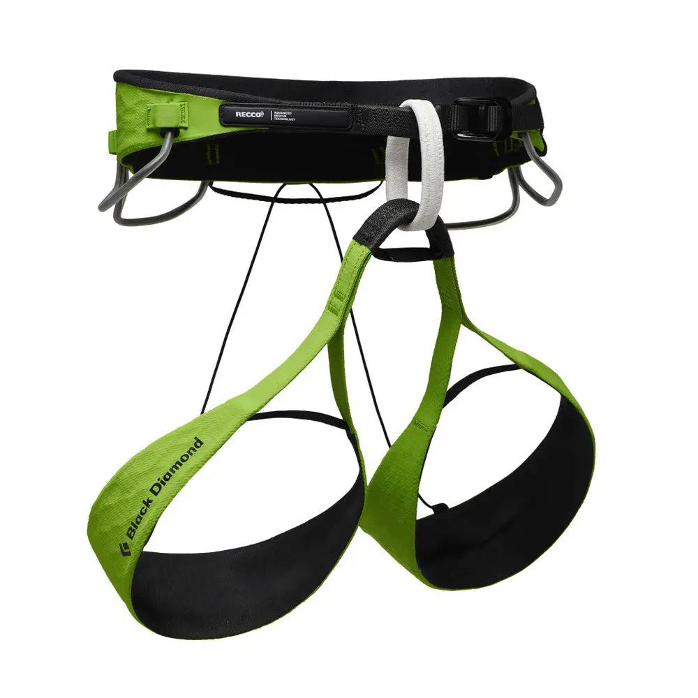 Vision Airnet Harness Recco 1