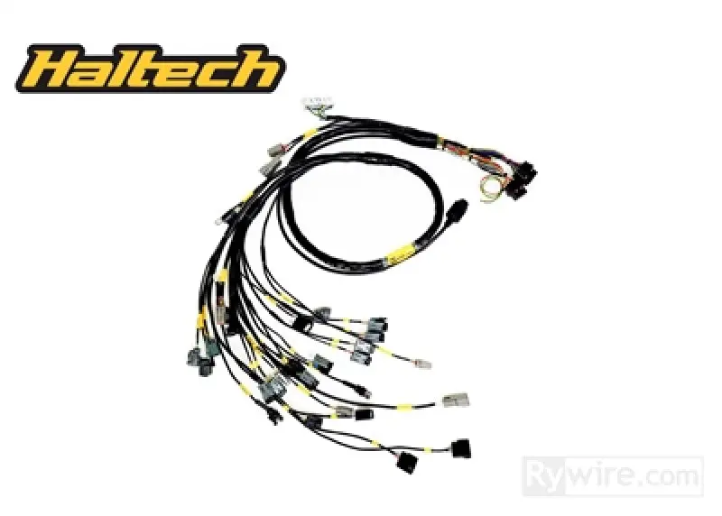 Rywire K-Series Naturally Aspirated W/Haltech Elite 1500+ Engine Harness (W/4 Inj / No Emap/Boost) 1