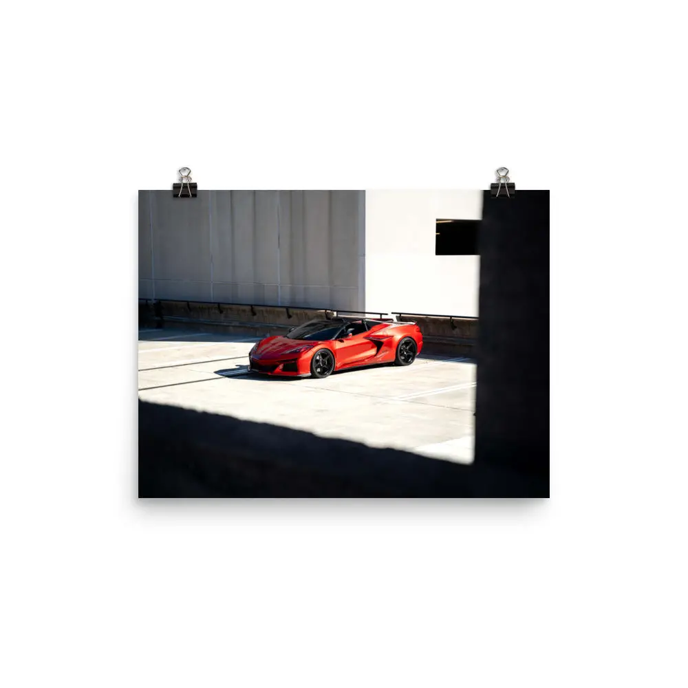 Lgnd43 Sunbathing Poster 1