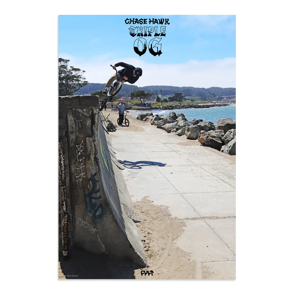 Chase Hawk Poster 1