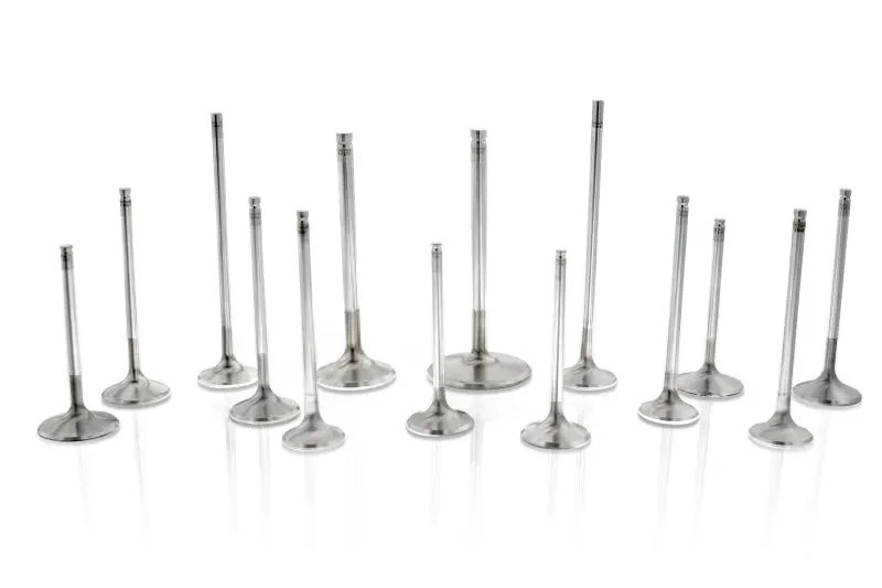 Ferrea S-Flo Triple-Groove Intake Valves – Vw Bdf Engine, 33.00Mm Stem, 5.95Mm Diameter, 102.40Mm Length, 25° Angle (+2Mm), Set Of 12 1